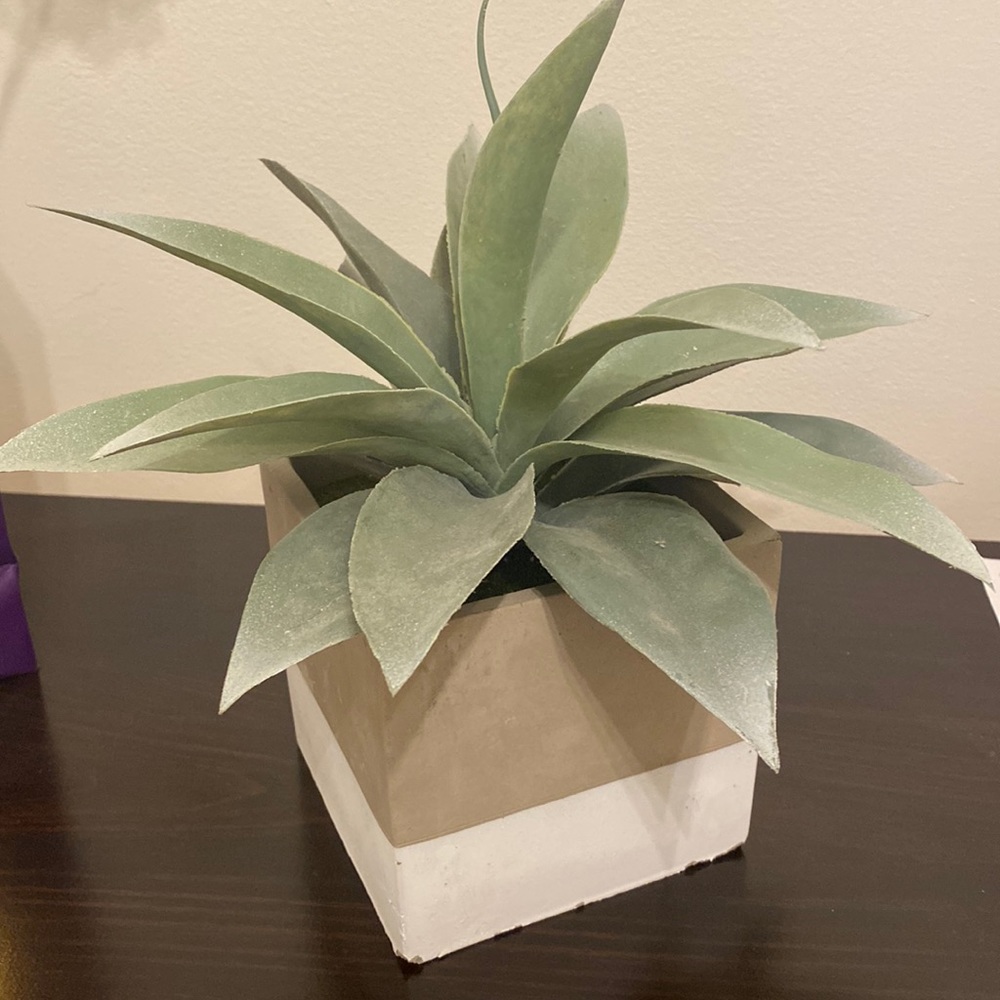 Ceramic Green Faux Plant